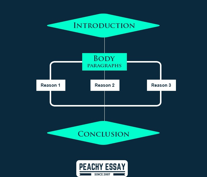 Evalution essay outline